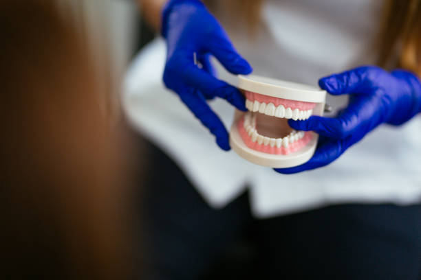Reliable New Orleans Station, LA  Holistic Dental Services Solutions